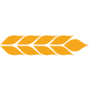 ANDE logo