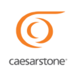 CSTE logo