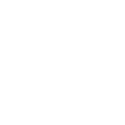 AI logo