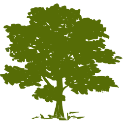 CYH logo
