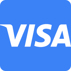 V logo