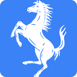 RACE logo