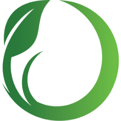 SFM logo