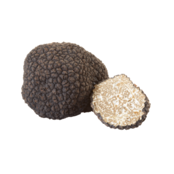 Truffle