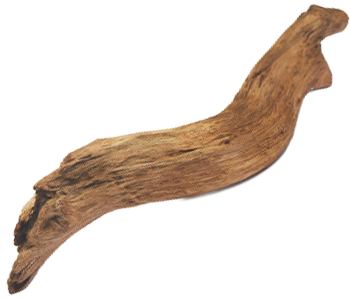 Driftwood