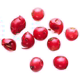 Mauritian pink pepper