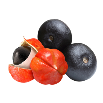 Guarana