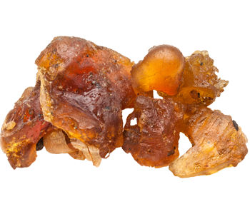 Elemi resin