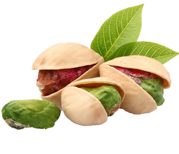 Pistachio