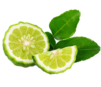 Bergamot