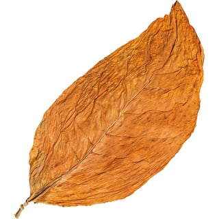 Virginia tobacco