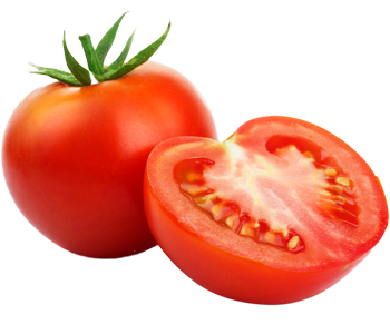 Tomato
