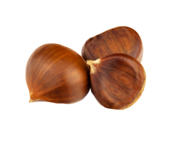 Chestnut