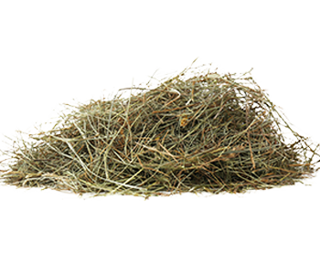 Hay