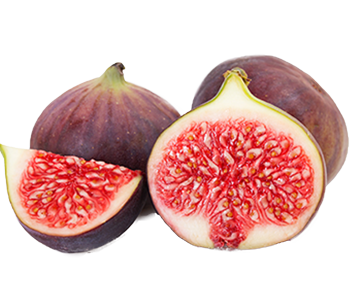 Fig