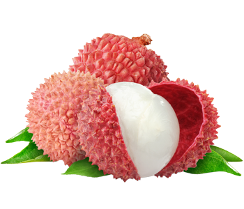 Litchi