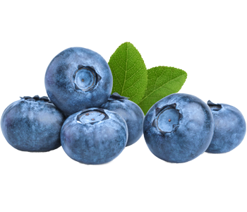 Blueberry