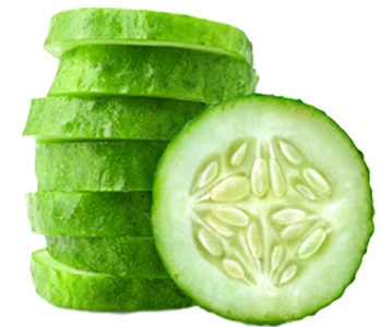Cucumber