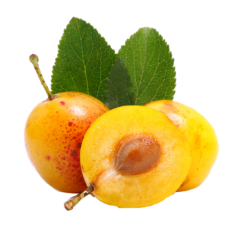 Mirabelle plum