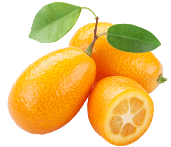 Kumquat