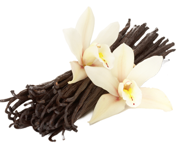 Vanilla