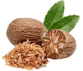 Nutmeg
