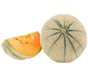 Melon