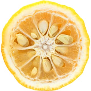 Japanese yuzu