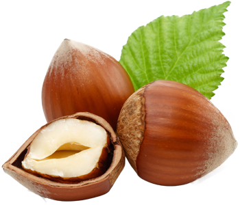 Hazelnut