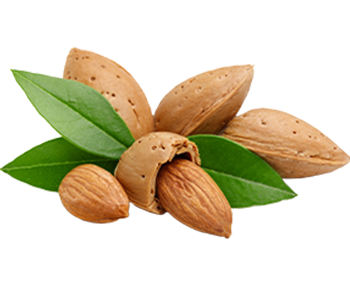 Almond