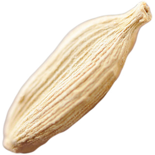 Chinese white cardamom