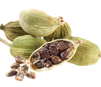 Cardamom