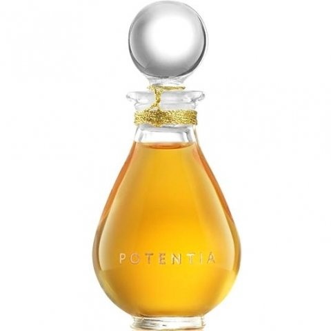 Amber God by Potentia perfume bottle