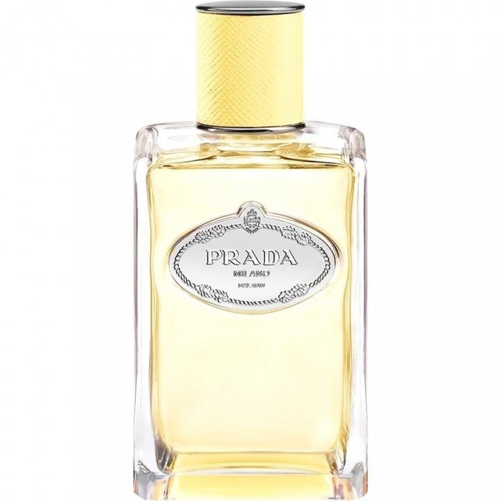 Infusion de Mimosa by Prada perfume bottle