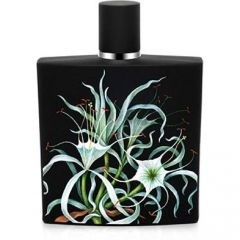 Amazon Lily by Nest perfume bottle