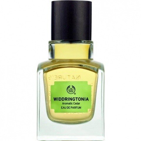 Widdringtonia - Aromatic Cedar by The Body Shop perfume bottle
