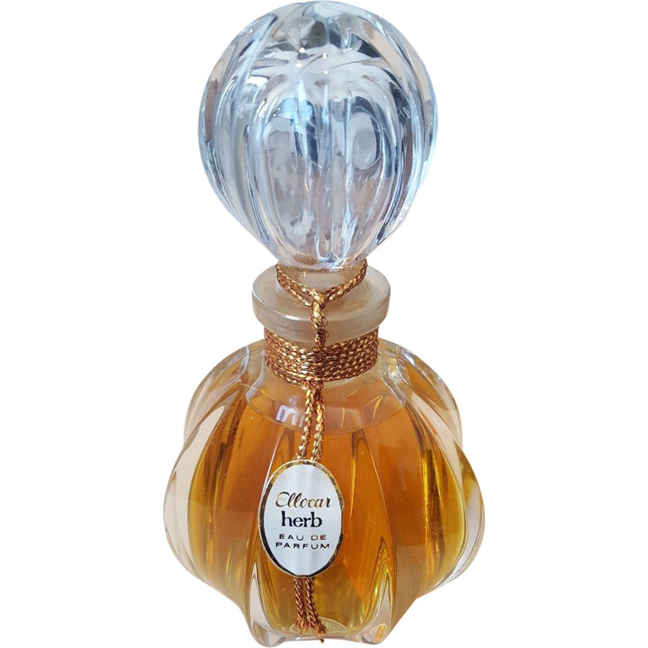 Ellocar herb by Ellocar perfume bottle