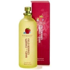 Baies des Champs / Field Berries