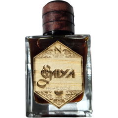 Gaiya by Nebiru Parfvms perfume bottle