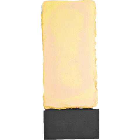 His Lordship's Backyard Roses