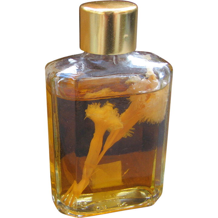 Živé květy - Karafiát by Vřídlo perfume bottle