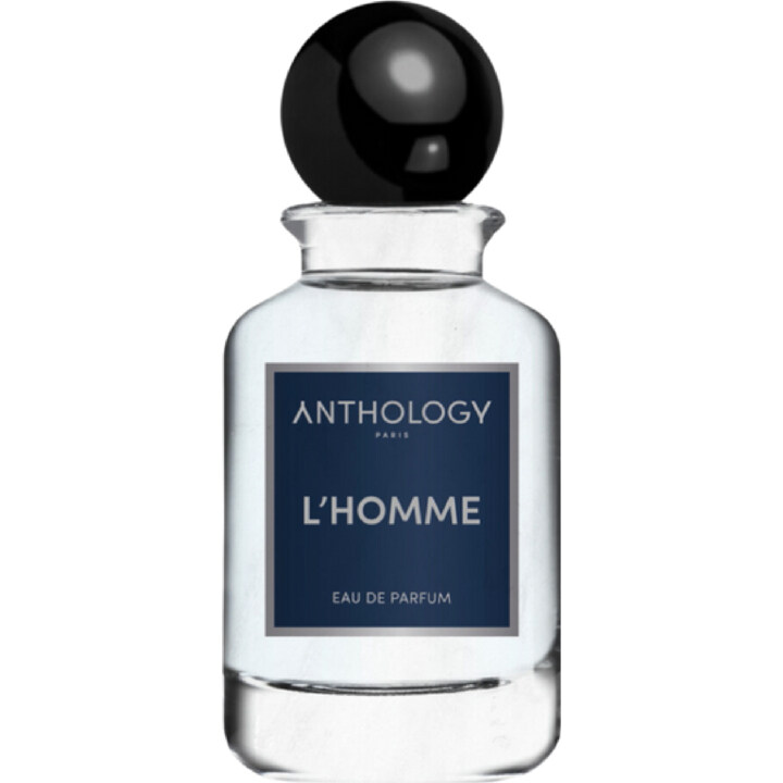 L'Homme by Anthology perfume bottle