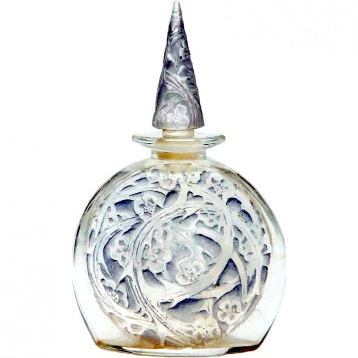 Iris Neige by Volnay perfume bottle