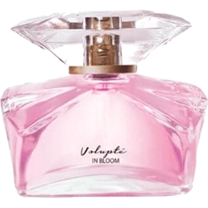 Volupte in Bloom by Pereja perfume bottle