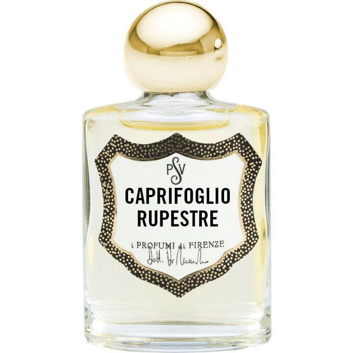 Caprifoglio Rupestre (Fragranza Concentrata) by Spezierie Palazzo Vecchio / I Profumi di Firenze perfume bottle
