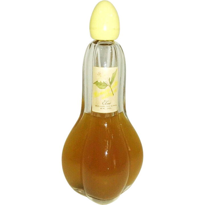 Honeysuckle by Elmo Inc. perfume bottle