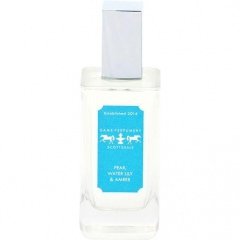 Pear, Water Lily & Amber by Dame Perfumery Scottsdale perfume bottle