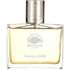 Ylang Épicé by Clubman / Edouard Pinaud perfume bottle