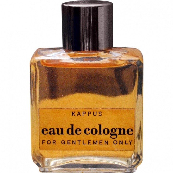 Adventure - For Gentlemen Only (Eau de Cologne) by Kappus perfume bottle