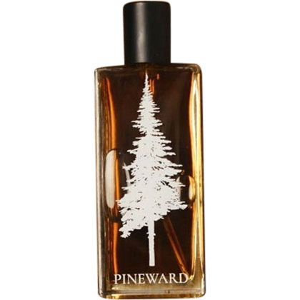 Lime Cola by Pineward perfume bottle